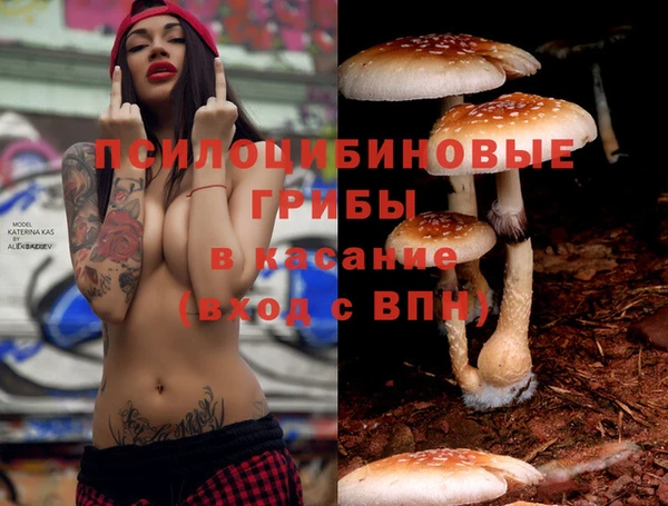 ALPHA PVP Заволжск