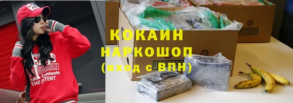 крисы Заводоуковск
