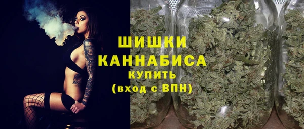 крисы Заводоуковск