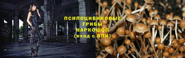 стафф Заволжье