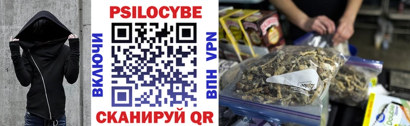 Псилоцибиновые грибы MAGIC MUSHROOMS  Купить закладки  Ялуторовск 